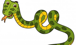 女人梦到自己被蛇咬 女性梦见被蛇咬