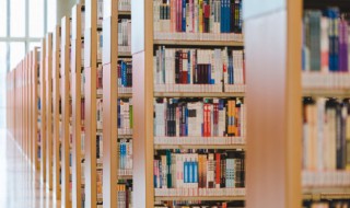 说和做主要内容 说和做主要内容是什么