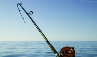 女人梦到超大的大鱼 女人梦到超大的大鱼的征兆