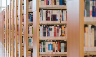 囊橐怎么读 囊橐读音和解释