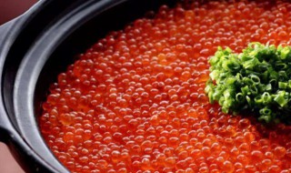 小孩子能不能吃鱼子 小孩子是否可以吃鱼子