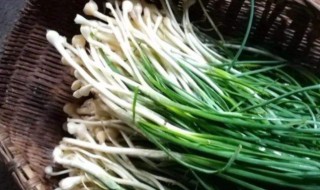 藠头变绿能不能吃 藠头变绿是否可以吃