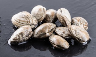 花甲和豆腐相克吗 花甲和豆腐的做法