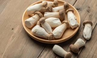 杏鲍菇可以和什么一起 不能和杏鲍菇一起吃的食物