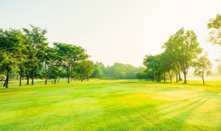 励志经典短句摘抄 经典励志优美句子摘抄