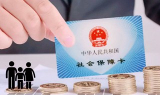 怎么查询自己的参保地 查询自己的参保地怎么查