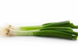 葱怎么读 葱的读法
