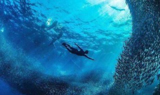 海底两万里1到3章概括 海底两万里1到3章的内容是什么