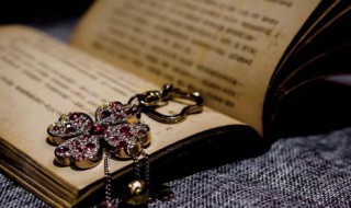 已五行属什么 已五行属啥