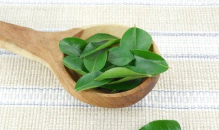 咖喱叶可以吃吗 咖喱叶的简介