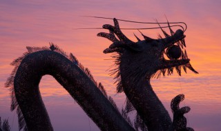 梦到龙发怒的意思 睡觉的时候梦见龙发怒了