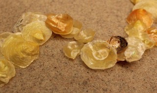 琥珀的作用 琥珀的作用分析