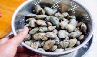 文蛤死了还能吃吗 文蛤死了是否可以吃