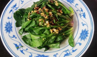 车前草可以凉拌着吃吗 车前草凉拌着吃行不行