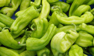新鲜辣椒可以蒸着吃吗 能不能蒸新鲜辣椒吃