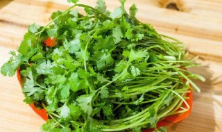 十香菜可以凉拌吃吗 十香菜的功效宇作用介绍