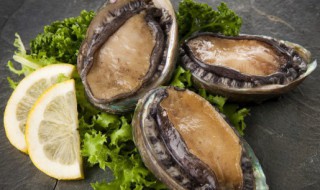 熟的鲍鱼第二天能吃吗 熟的鲍鱼能放多久