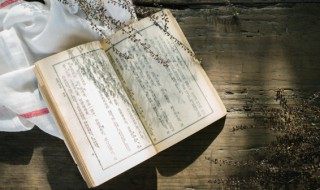 钢铁是怎样炼成的100字概括 钢铁是怎样炼成内容概述