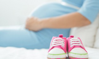 怀孕能不能吃杏脯 怀孕了能不能吃杏脯