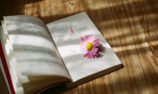 一个人很烦的心情说说 一个人很烦的心情说说有什么