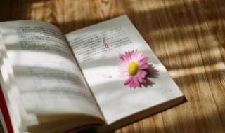 关于下雨的说说 关于下雨的说说推荐