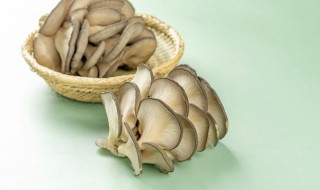 平菇可以冷冻吗 平菇适不适合冷冻