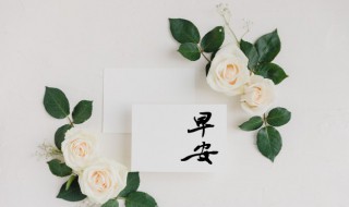 早安分享正能量励志句子 早安分享正能量励志句子精选