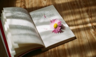 感叹生活说说 感叹生活说说有什么