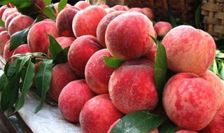 桃子能吃的有哪些 桃子能有哪些吃法