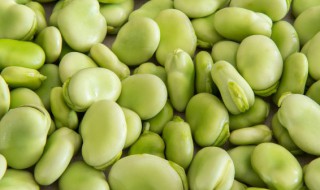 兰花豆发芽可以吃吗 兰花豆发芽不建议食用吗