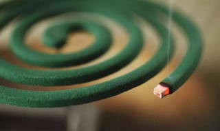 蚊香是什么意思 蚊香解释