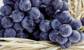 梦到葡萄树上结满葡萄 梦见树上长满葡萄的意思介绍