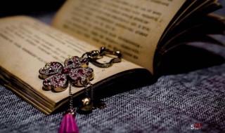 梢字怎么组词 梢字怎样组词