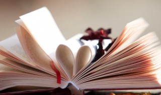 笼字怎么组词 笼字如何组词