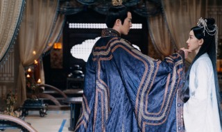 斛珠夫人讲的是什么 斛珠夫人讲的是啥