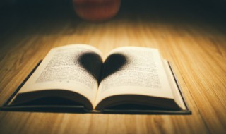 流年花开讲的什么 流年花开讲的啥