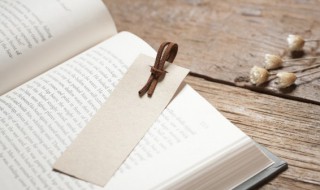 蛛字怎么组词 蛛字怎样组词