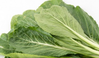 芥菜叶怎么腌制好吃 芥菜叶如何腌制好吃