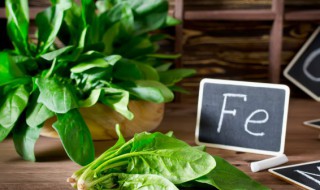 菠菜和海米相克吗 菠菜和海米相不相克