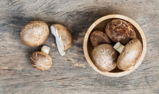 鸡蛋能不能和香菇一起吃 可以一起吃鸡蛋和香菇吗