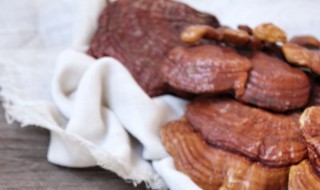 灵芝煲汤的做法与食用建议 灵芝煲汤的做法与食用建议有哪些