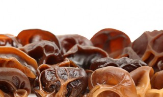 木耳对人体的营养价值 木耳对人体有哪些营养价值