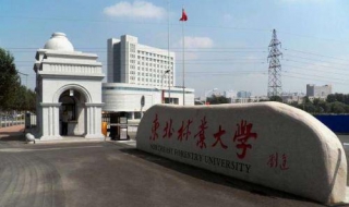 东北林业大学食宿条件 你们知道哪些呢