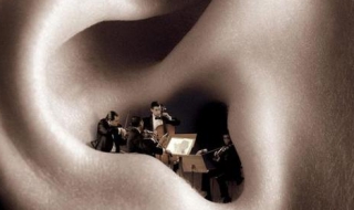 为什么耳机麦克风没声音 快去检查麦克风设置