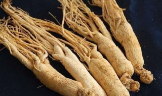 适合老年人的补品 这六种最适合不过