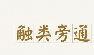 触类旁通的意思 触类旁通是什么意思