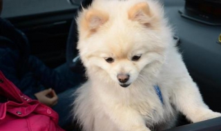 稽首的意思 稽首的含义