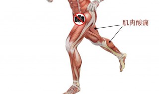 如何做筋膜康复 筋膜相关康复疗法