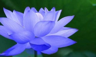 关于夏天的句子 关于夏天的句子有那些