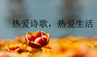 名人名言短句大全摘抄 著名名言大全